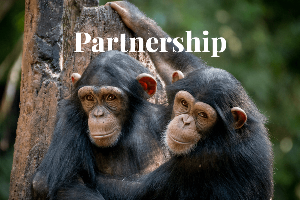 What is the importance of the PBAF Standard