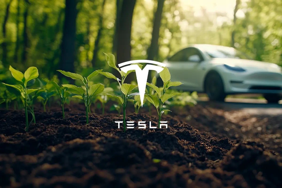 Technology Tree Tesla Why Tesla is winning in the carbon market and what’s next