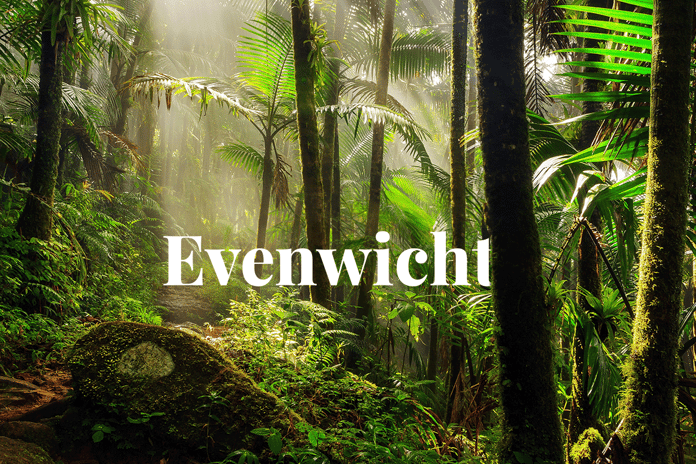 Why Tropical Rainforests Are Important for Our Well-Being_visual 1_NL