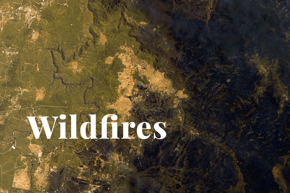 Wildfires in boreal forests release record levels of carbon, satellite study shows_visual 1