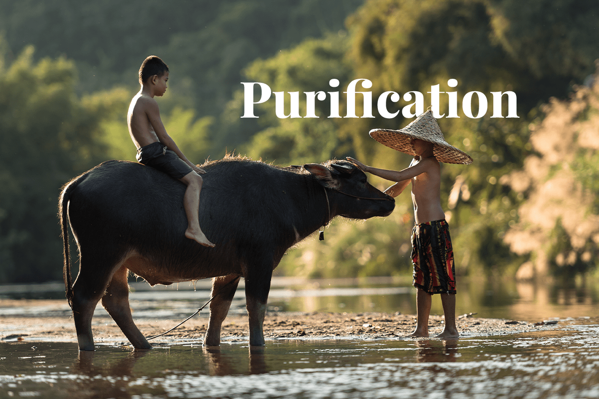 World Bank issues $50 million bond for Vietnam water purification project_visual 1