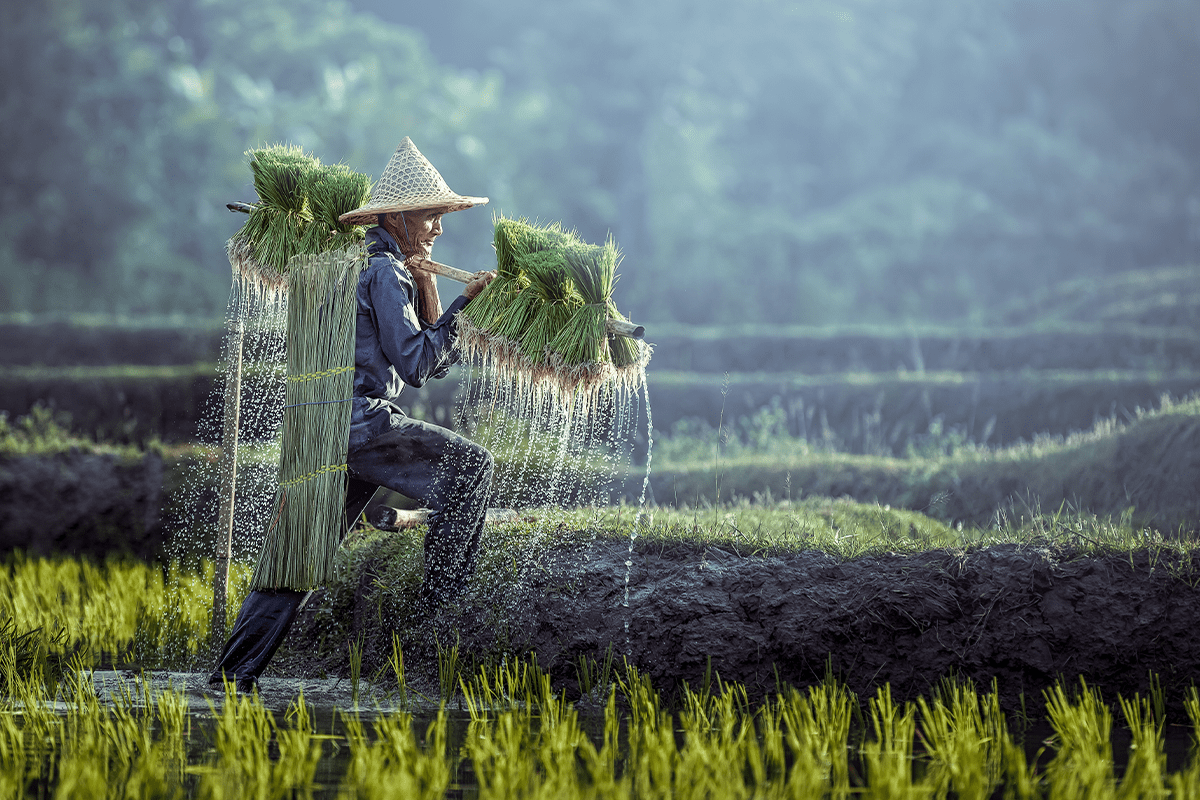 World Bank issues $50 million bond for Vietnam water purification project_visual 2