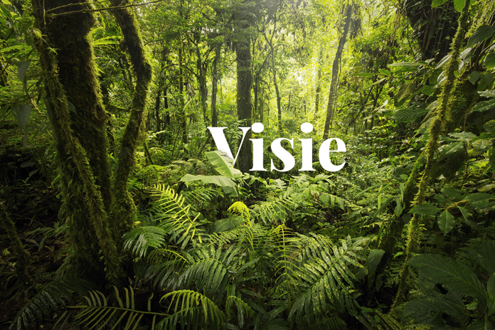 World Bank unveils vision for thriving global carbon markets_View on a dense vegetation in Costa Rica’s cloud forests_visual 1_NL