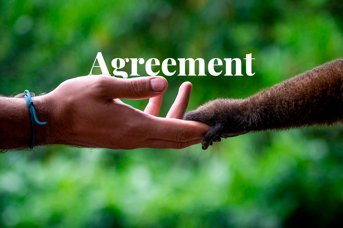 World reaches agreement on biodiversity