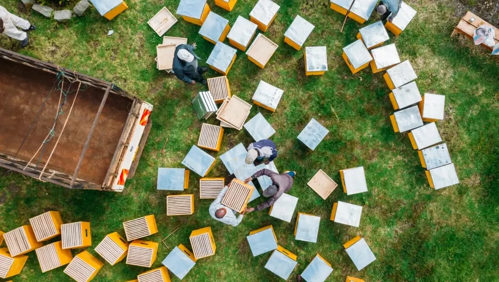 _landing page_ICP 4_procurement & supply chain leaders_risk reduction