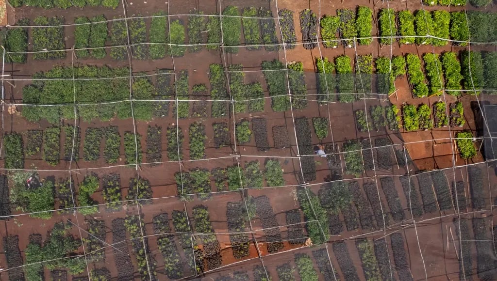 _landing page_ICP 4_procurement & supply chain leaders_seamless integration