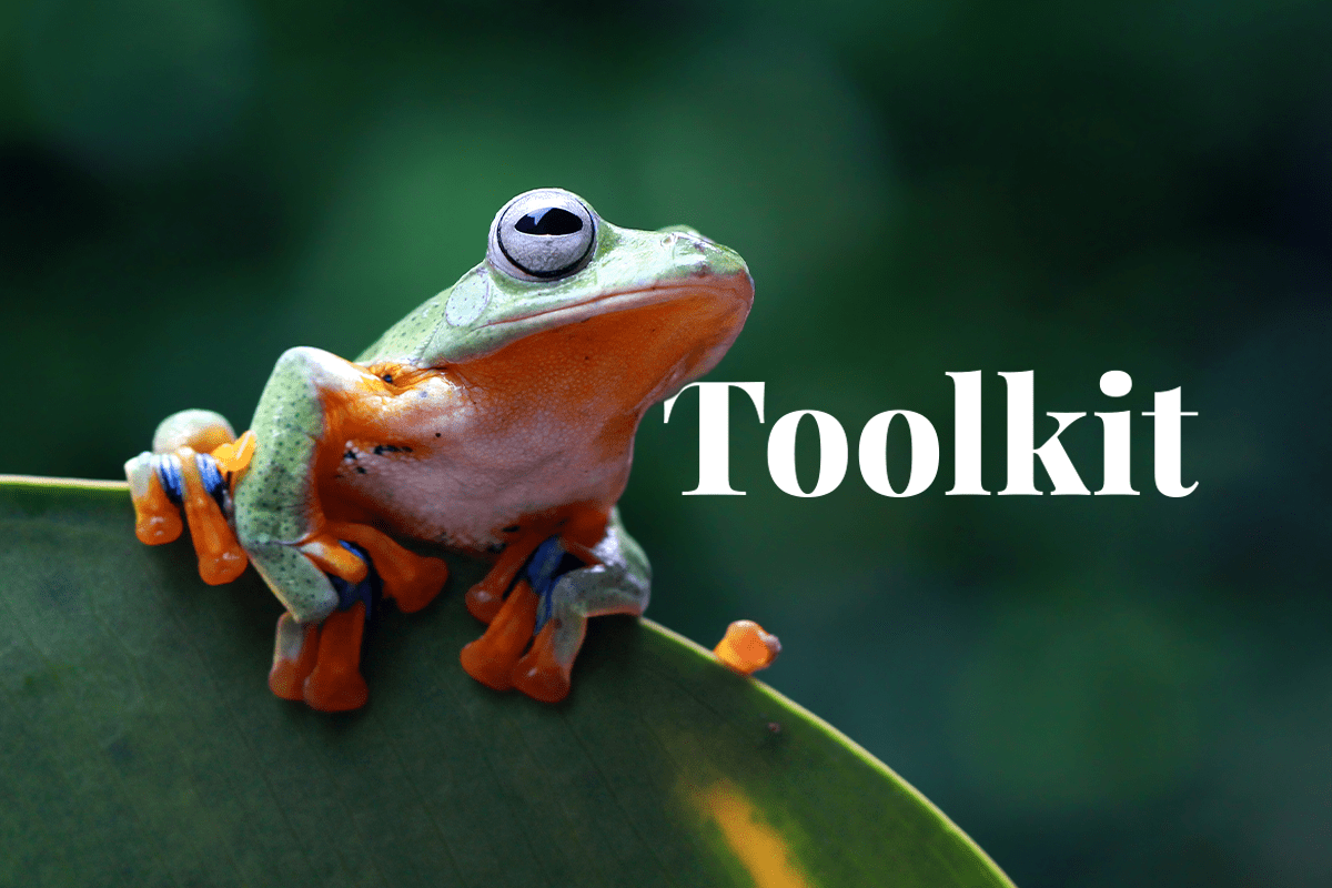 assessing the biodiversity footprint_Javan tree frog sitting on a leaf_visual 1