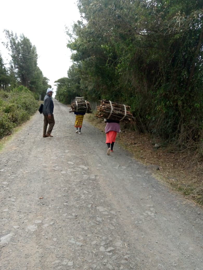 The problem we solve_ gathering firewood in Kenya