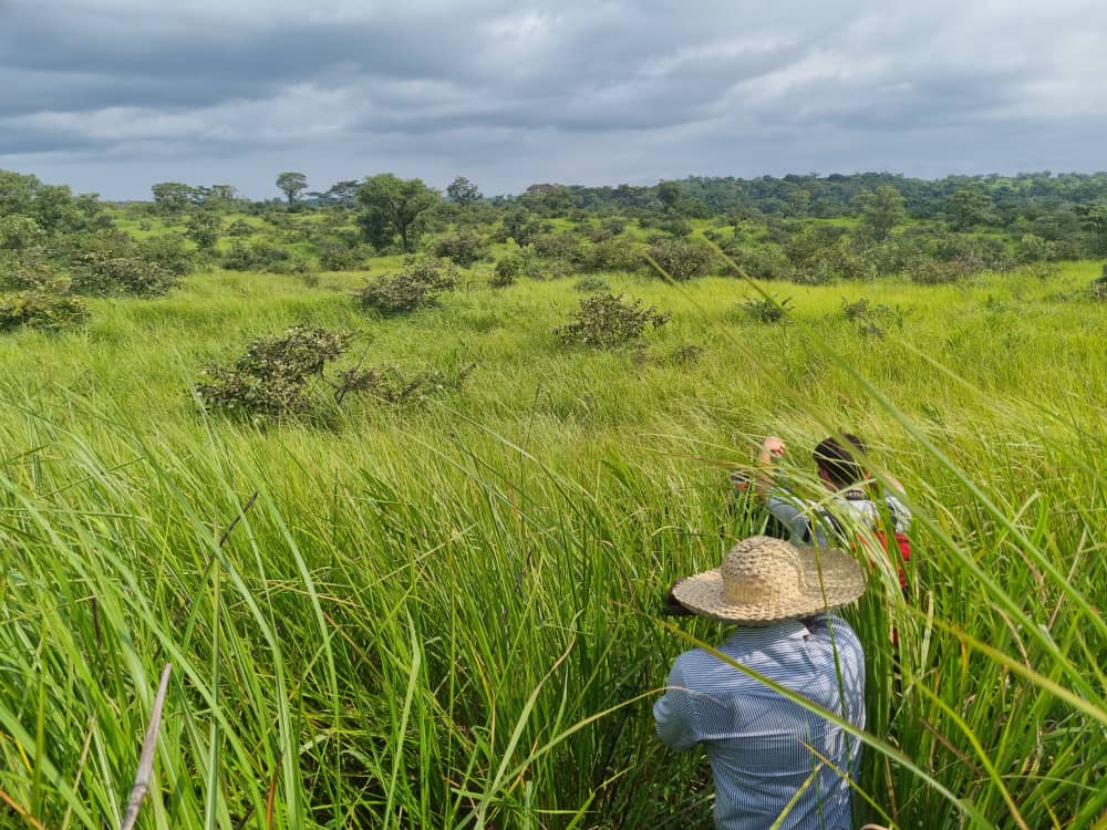 Vast deforested area in Cameroon - project team taking carbon measurements
