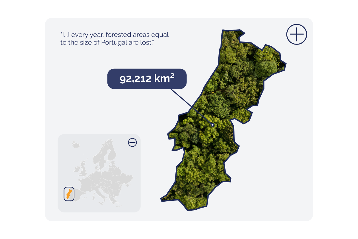 causes of deforestation_map of Portugal_visual 1