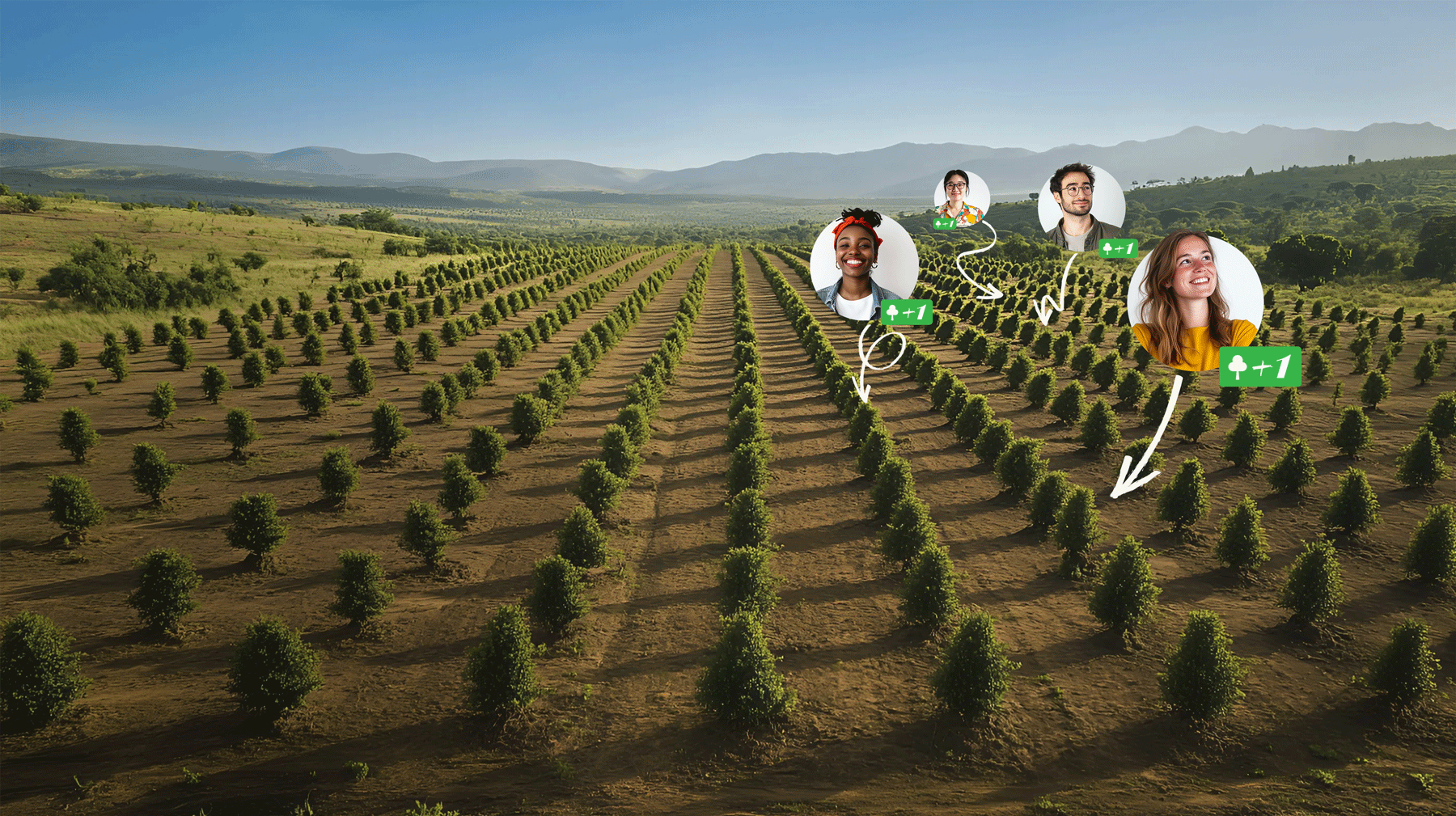Welcome to the <BR> Sweetlife Forest!
