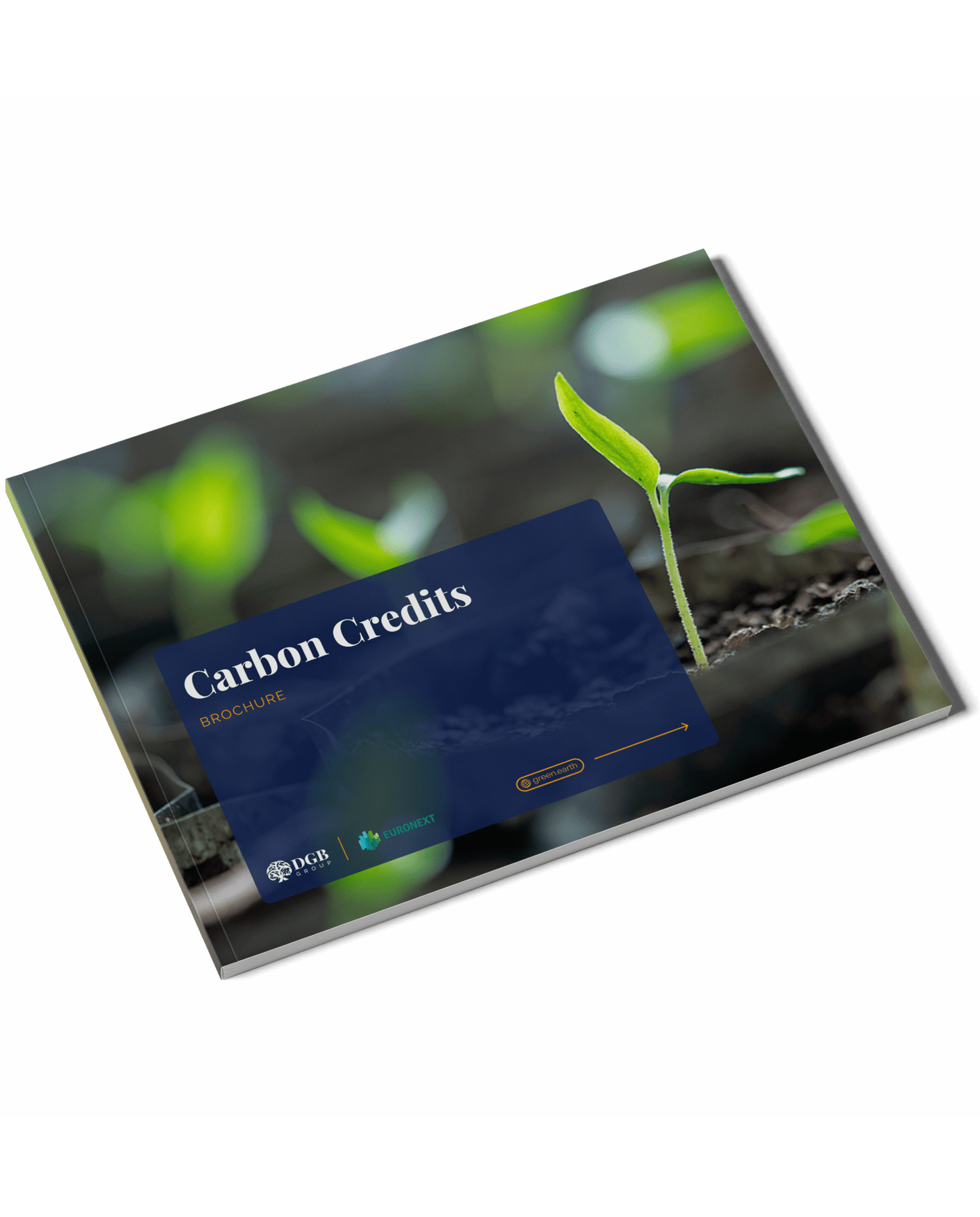 dgb group_mockup_carbon credits-min