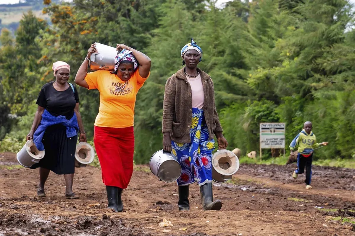 dgb_project update_building healthier homes 1000 cookstoves distributed in Kenya_visual 3