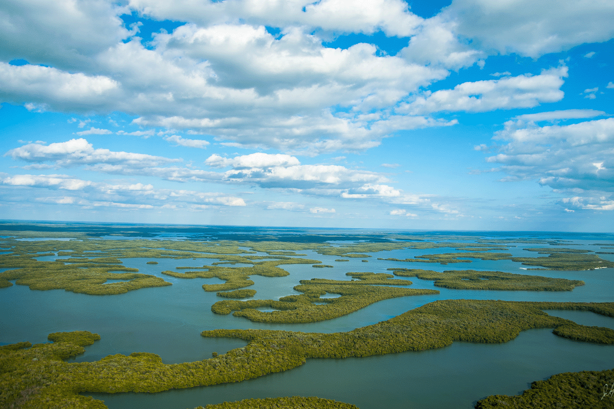 exploring the power of spatial data_aerial view of the Everglades National Park_visual 5