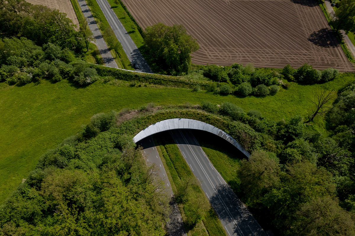 exploring the power of spatial data_drone view of ecological corridor_visual 4