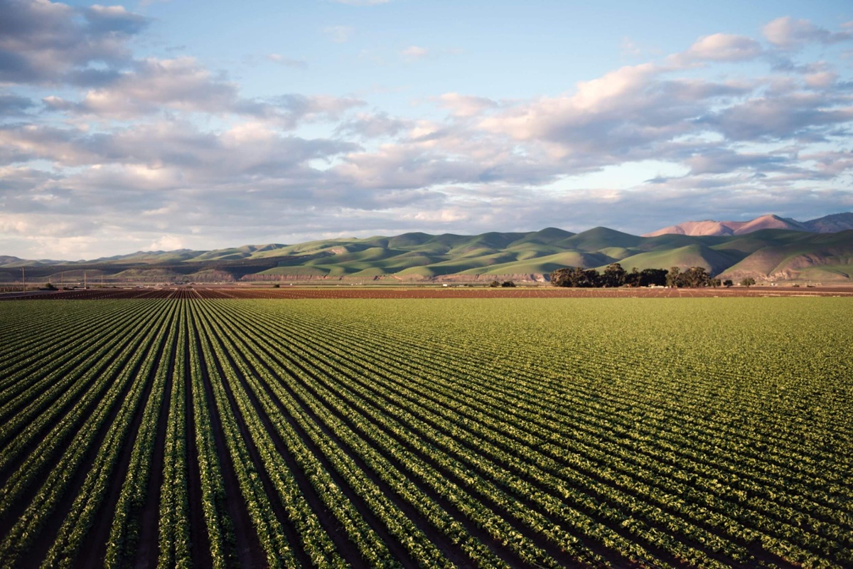 How do farmers earn thousands of dollars from carbon credits?