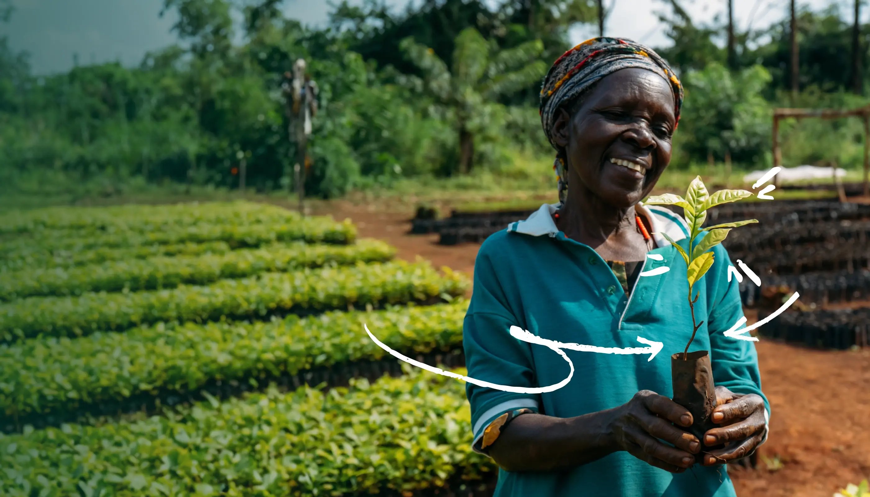 You can create change: <BR>Plant trees, uplift lives, <BR>and revive nature