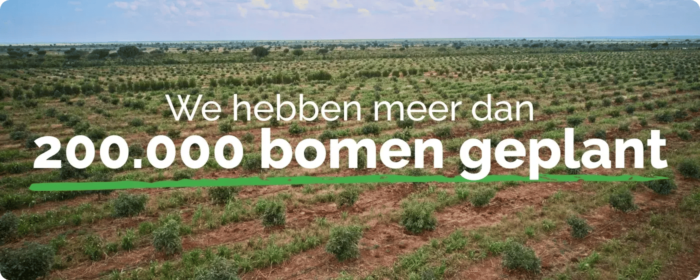 forest guardians_we have planted over 200,000 trees_NL