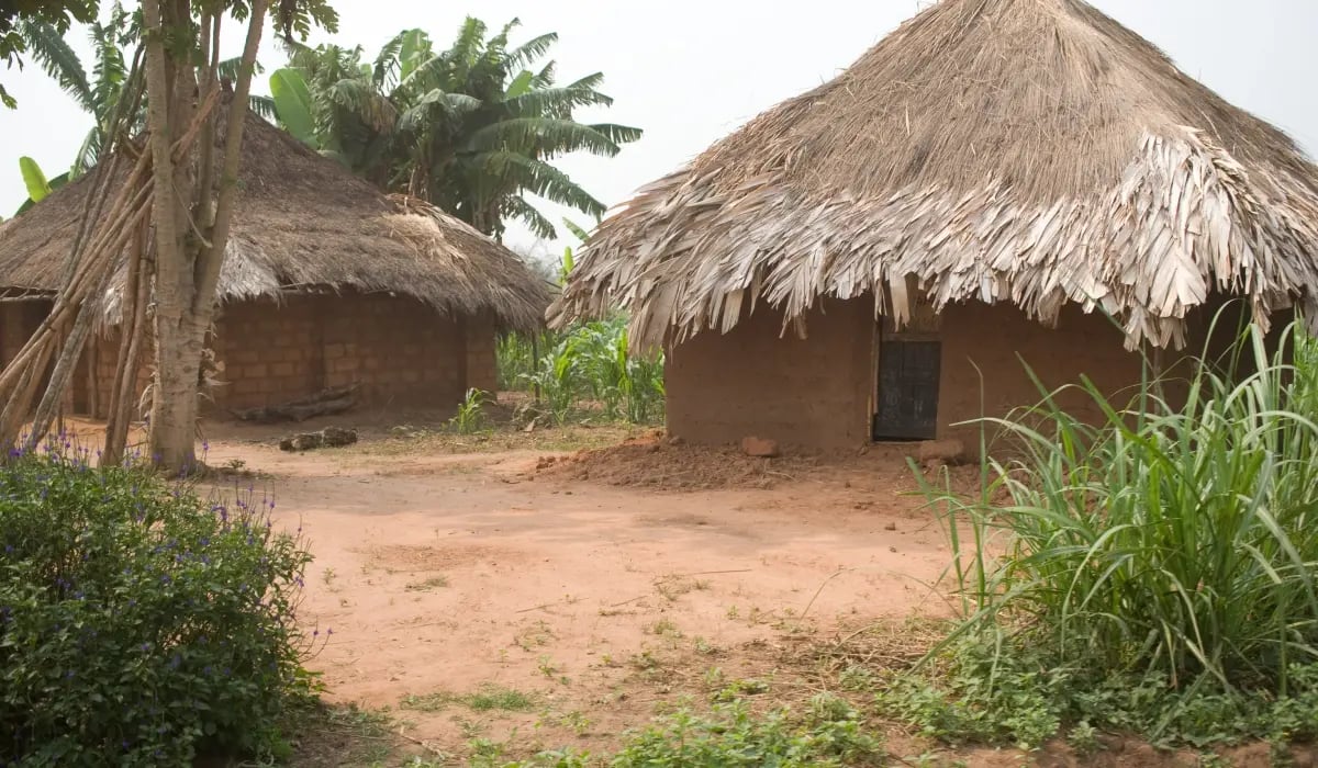 ge_drc reforestation project_images gallery 2