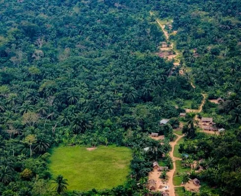 ge_drc reforestation project_restoring degraded land in DRC 2