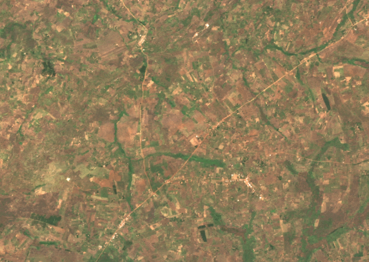 giph_small_02