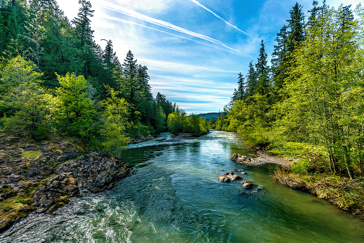 global solutions for a global challenge_A bright blue river flowing through an forest_visual 5