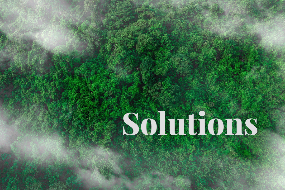 global solutions for a global challenge_erial view of green forest_visual 1
