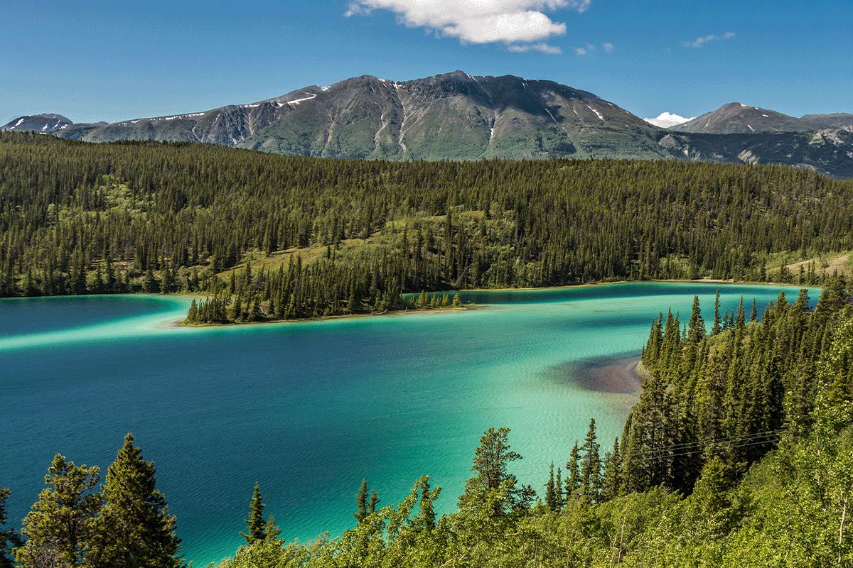 global solutions for a global challenge_view on Emerald Lake in Canada_visual 3