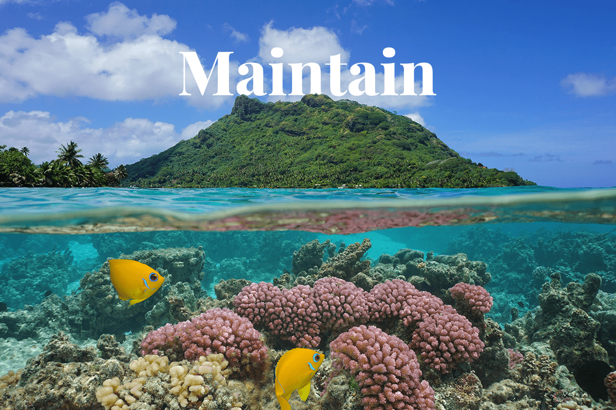 how can you maintain the ecosystems_landscape of Huahine island_visual 1