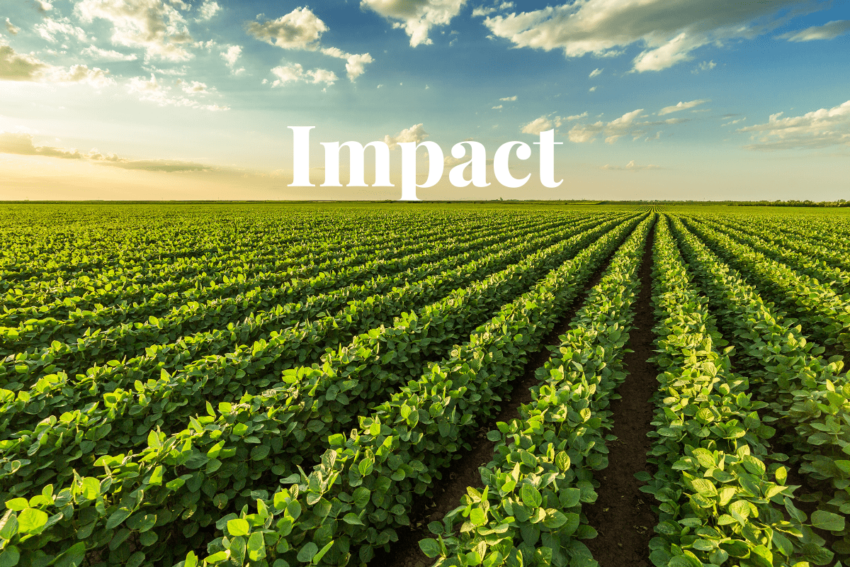 impact of food production on biodiversity loss_green ripening soybean field_visual 1