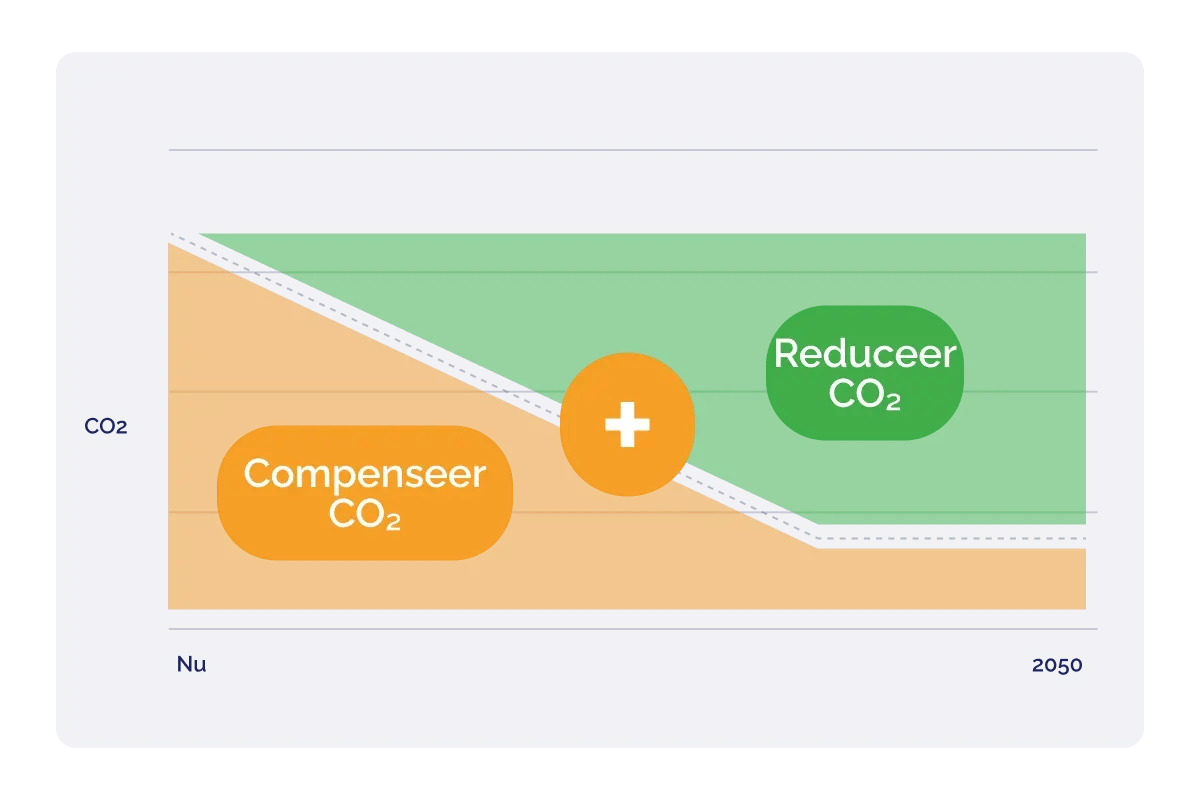 invest_green bonds investments_carbon reduction vs compensation_NL
