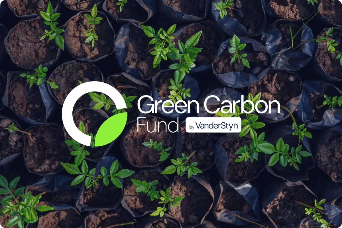 invest_investing in carbon credits_vanderstyn gives you access to the carbon credit market (1)