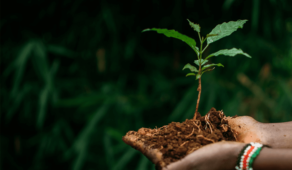 Responsible investments <BR> for the next generation