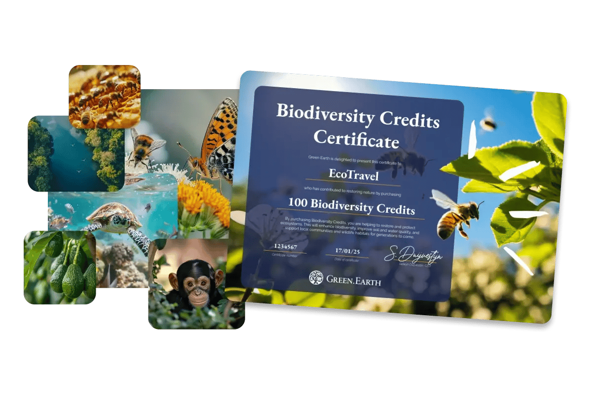 landing page_biodiversity credits_demonstrate your commitment to nature-1