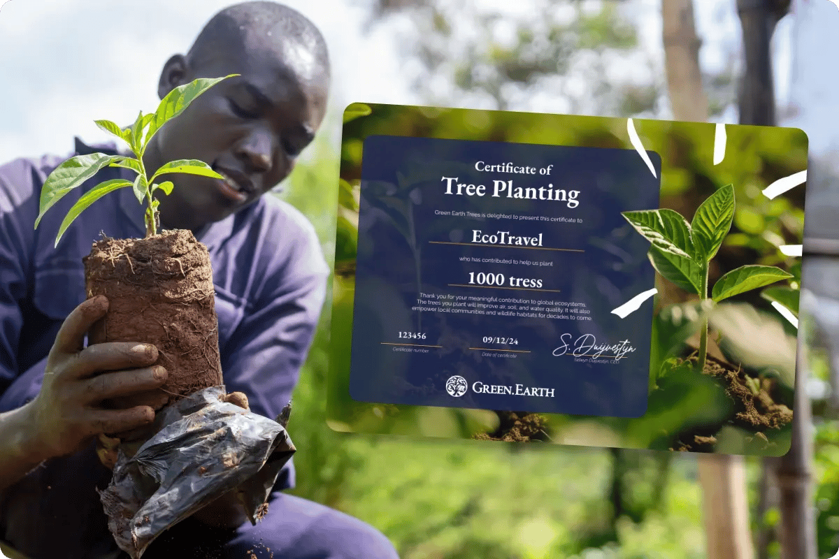 landing page_brochure_integrate trees into your business_show your commitment to the environment-2