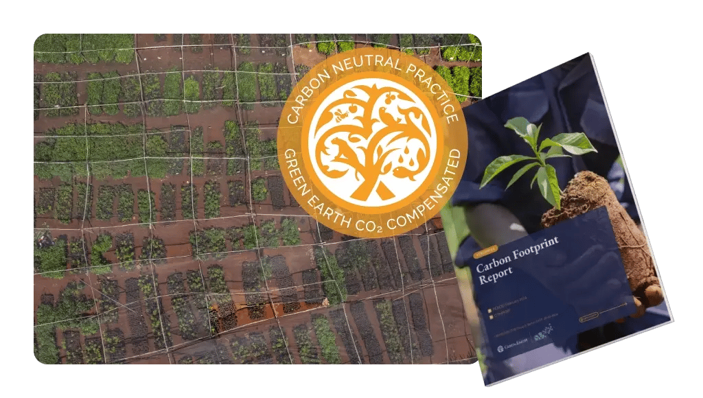 landing page_carbon calculator_co2 expert_a win-win for your business and the environment