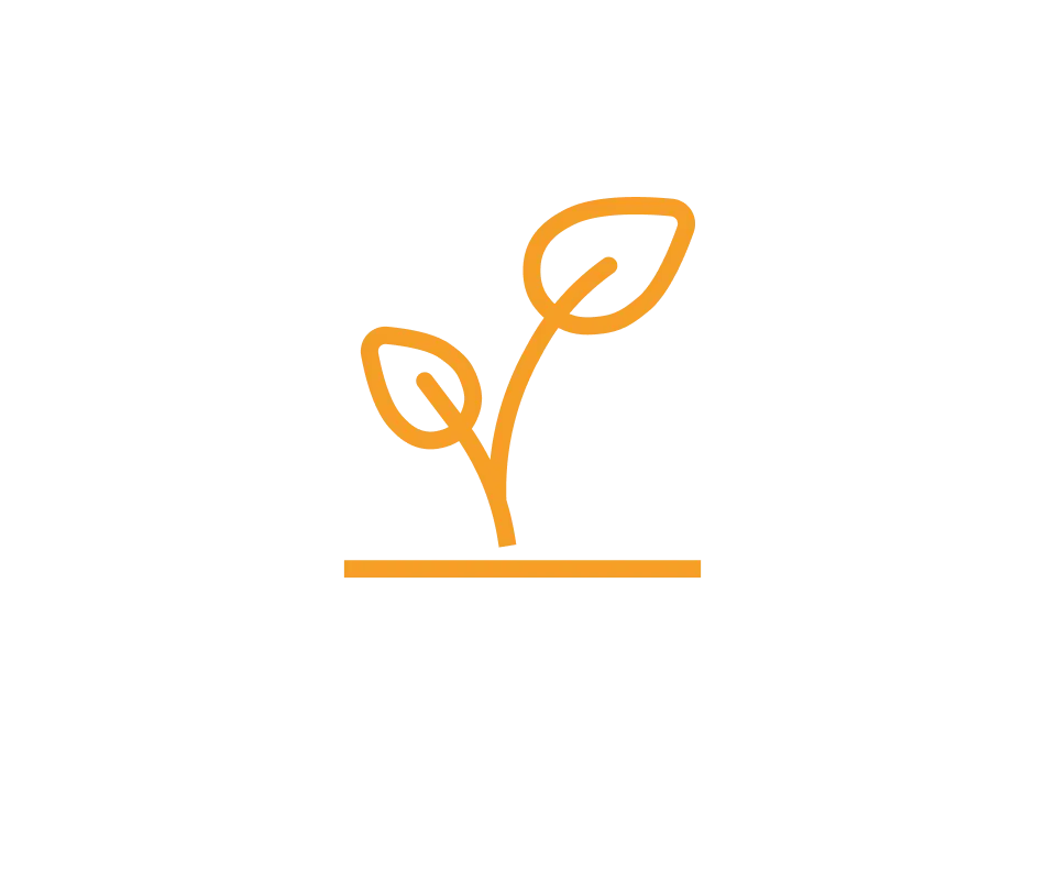 landing page_carbon calculator_co2 expert_trees planted (8)