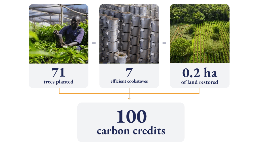 landing page_carbon units_carbon units in action EN-4