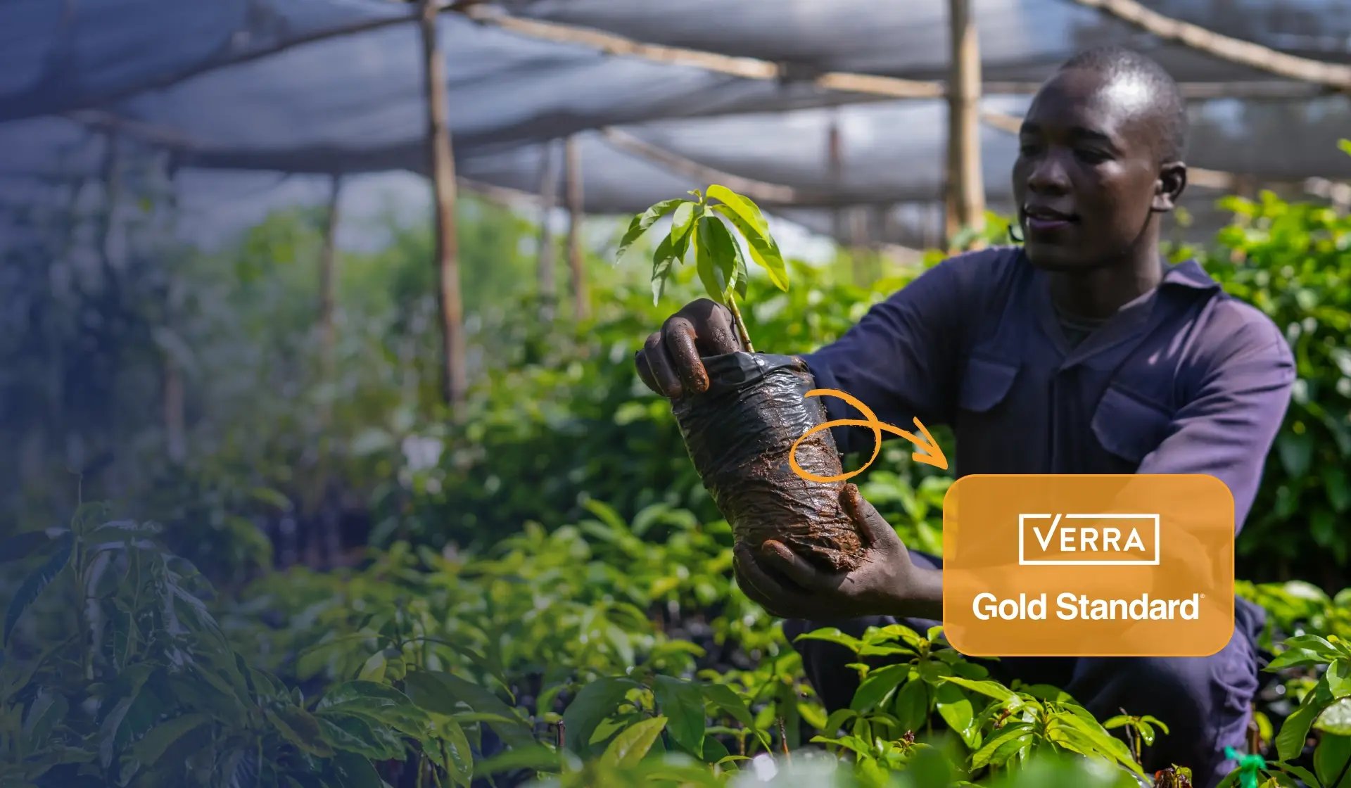Buy verified carbon credits with proven results
