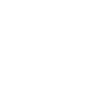 Logo_DGB_diap_white