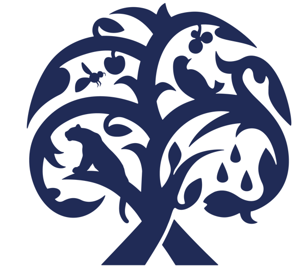 Vignet_DGB_fc_blue