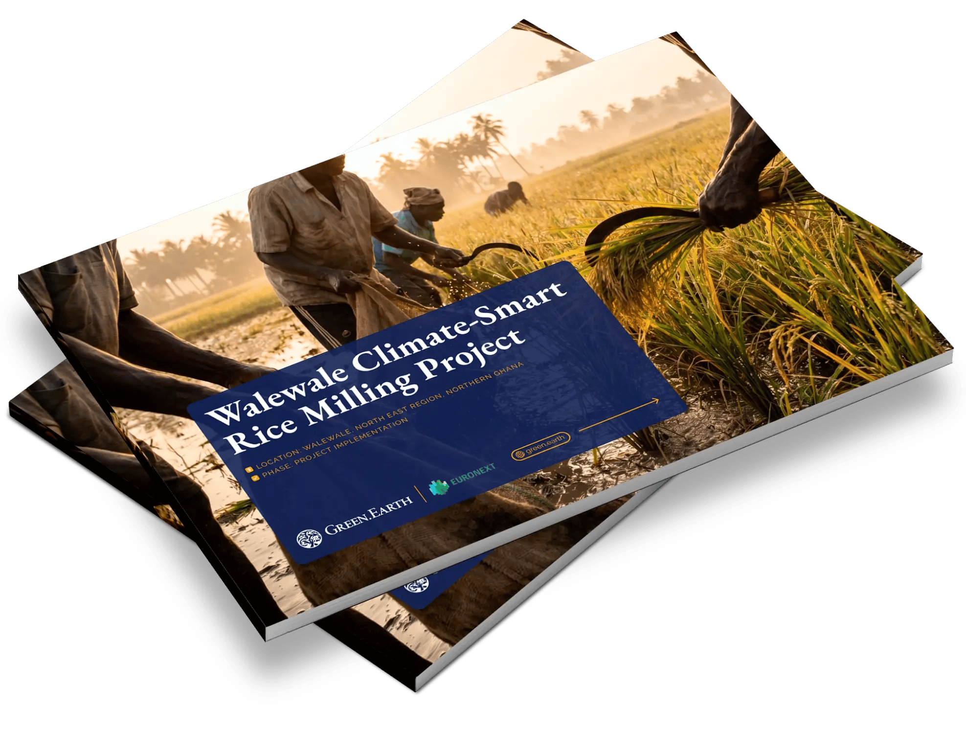 mockup (1)