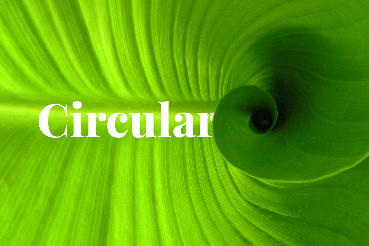 net zero and a circular economy_rolled leaf_visual 1