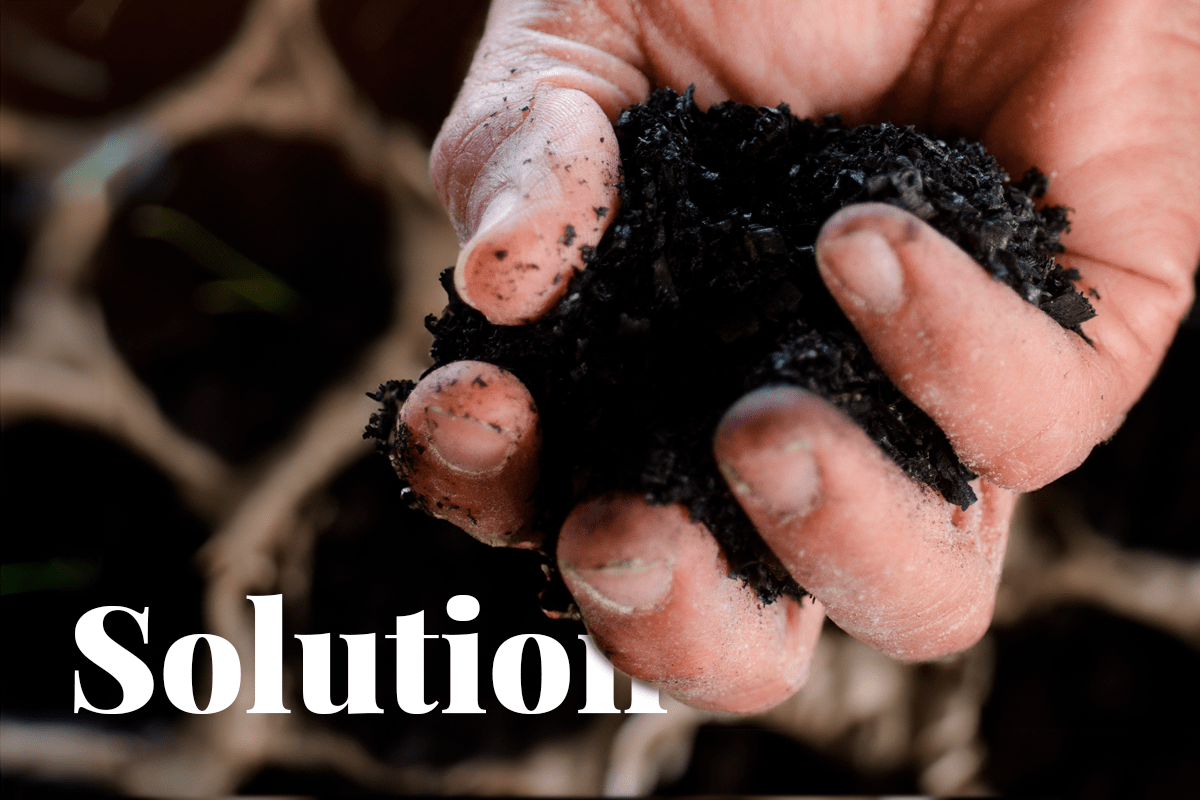 new innovative carbon storage solution_biochar on a hand_Visual 1