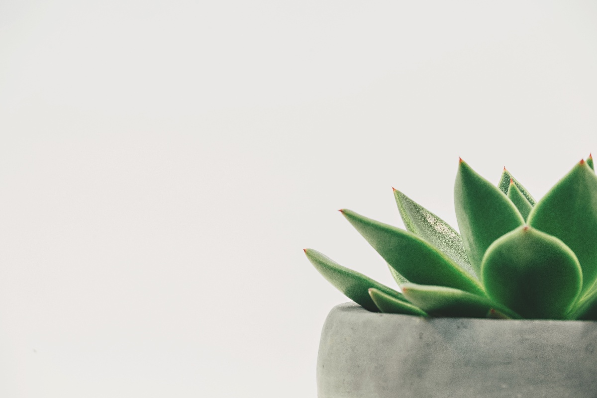 Why invest in DGB’s Green Bonds?