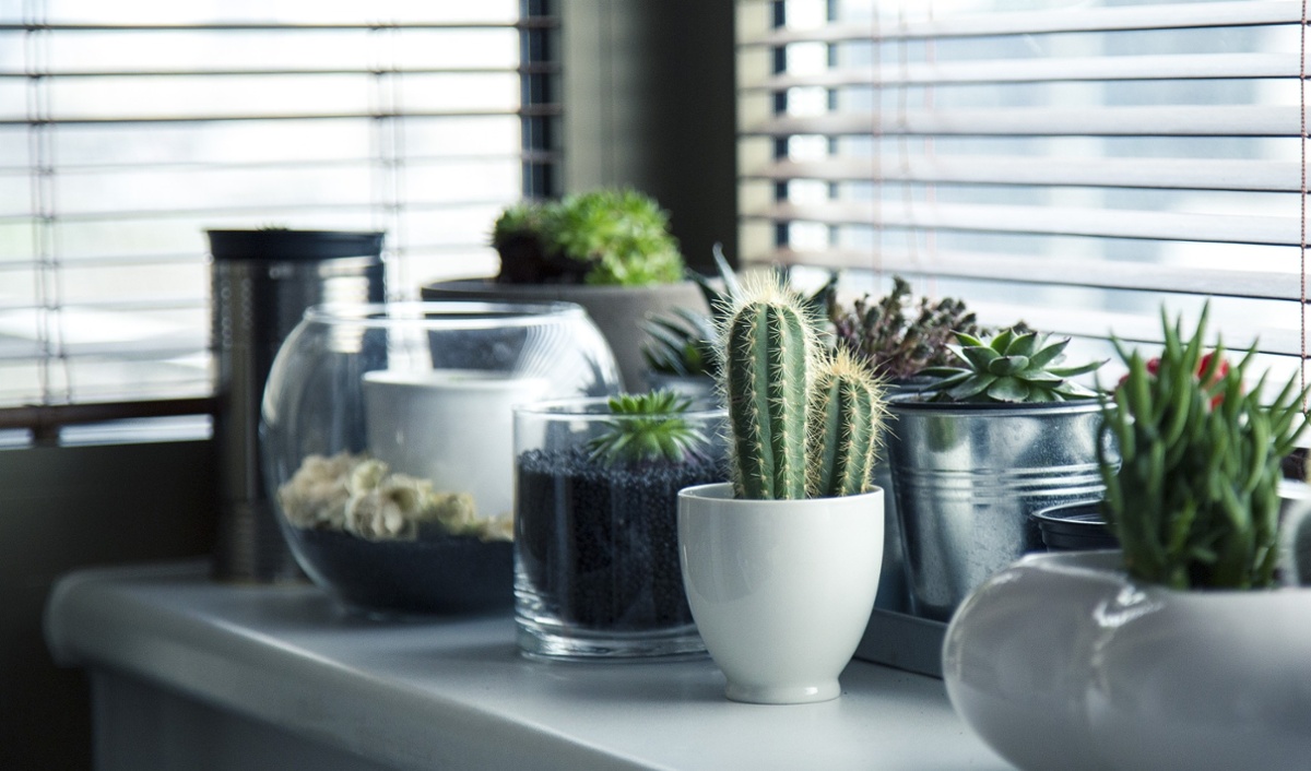 Plant-based living
