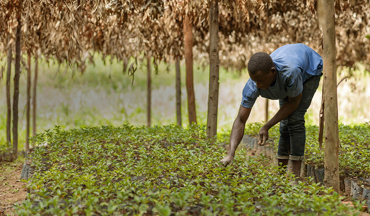 Nature-based solutions