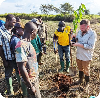 people planting a tree