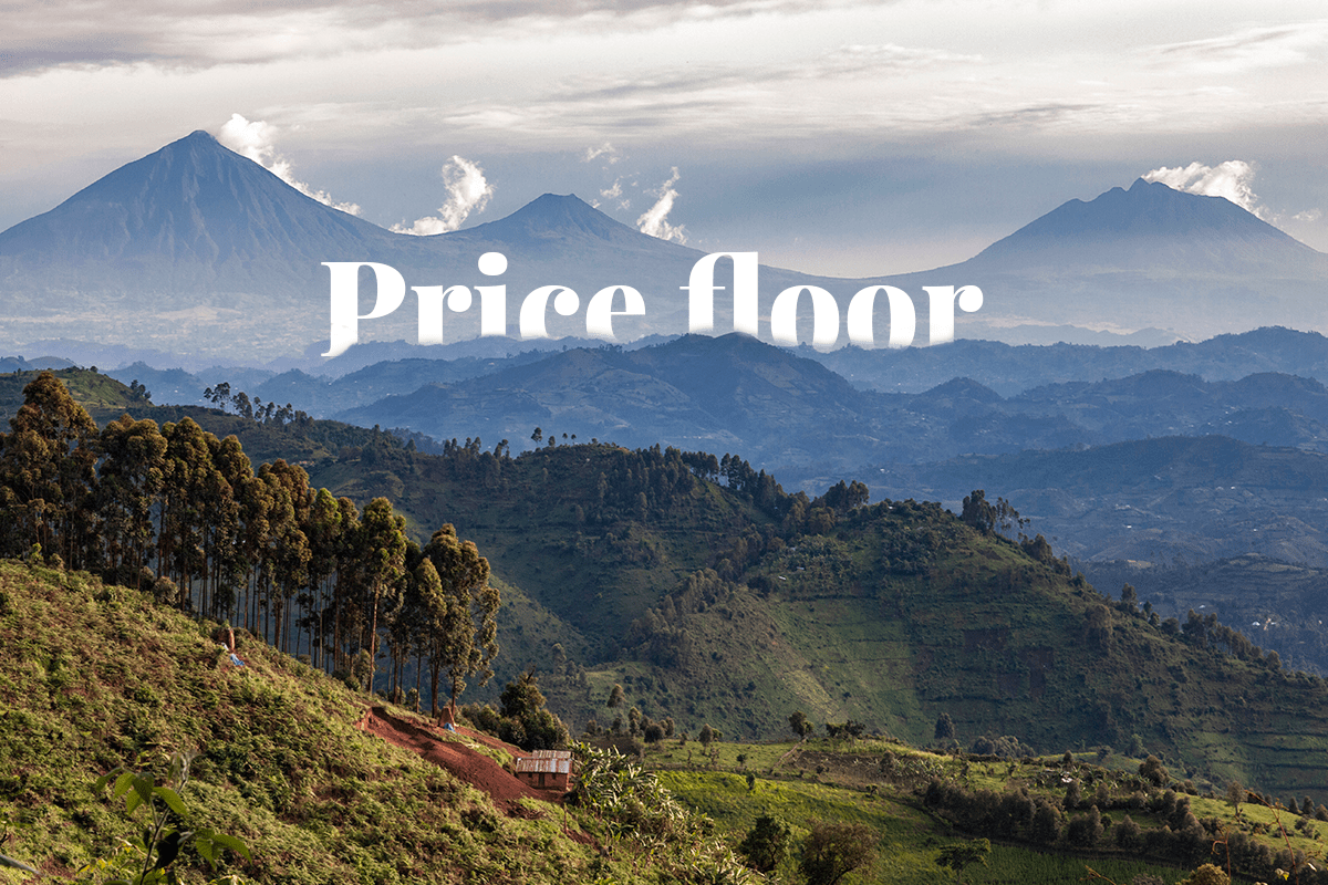 rwanda to set carbon credit price floor_rwanda volcanos national park_news_visual