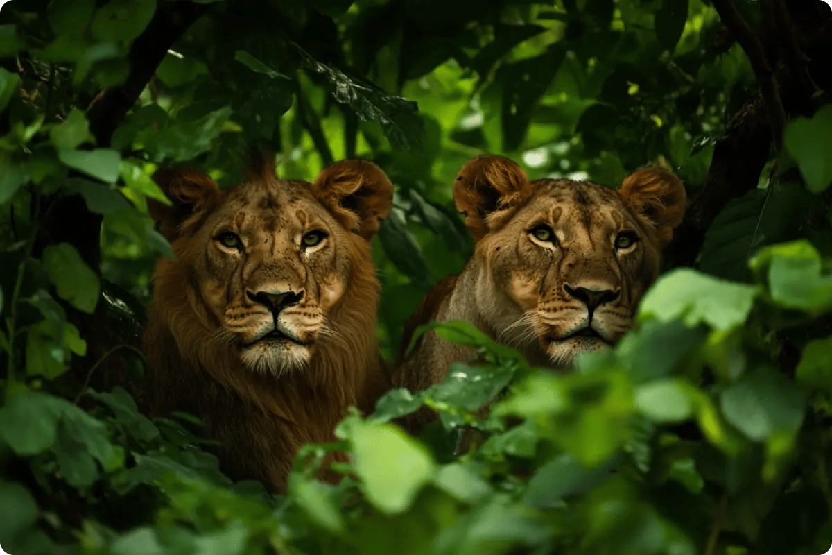 services & products_biodiversity credits_demonstrate your commitment to nature